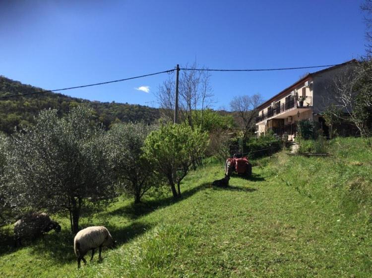 Apartment Dedo, Salara Farmhouse Koper Exterior photo